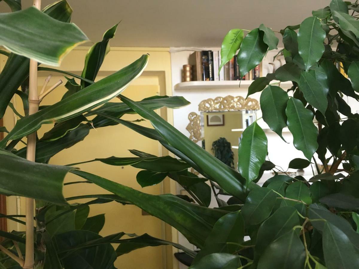 Finestra Su Genova Apartment Bagian luar foto
